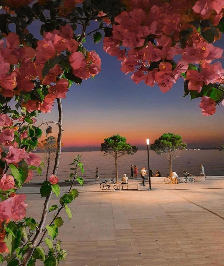 Villa Isabella Vlorë 外观 照片